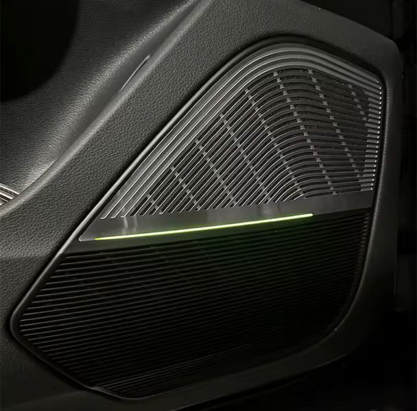 Сітки з підсвіткою вставки в карти дверей Audi Q8 Bang & Olufsen Q8 фото