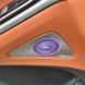 Сітки дверних динаміків для Mercedes-Benz S-Class W223 (2020-) W223DOOR фото 2