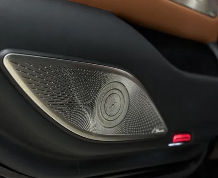Сітки в карти дверей для Mercedes-Benz S-Class W223 (2020-) w2234DDOOR фото